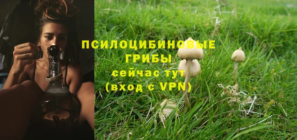 сатива Абинск